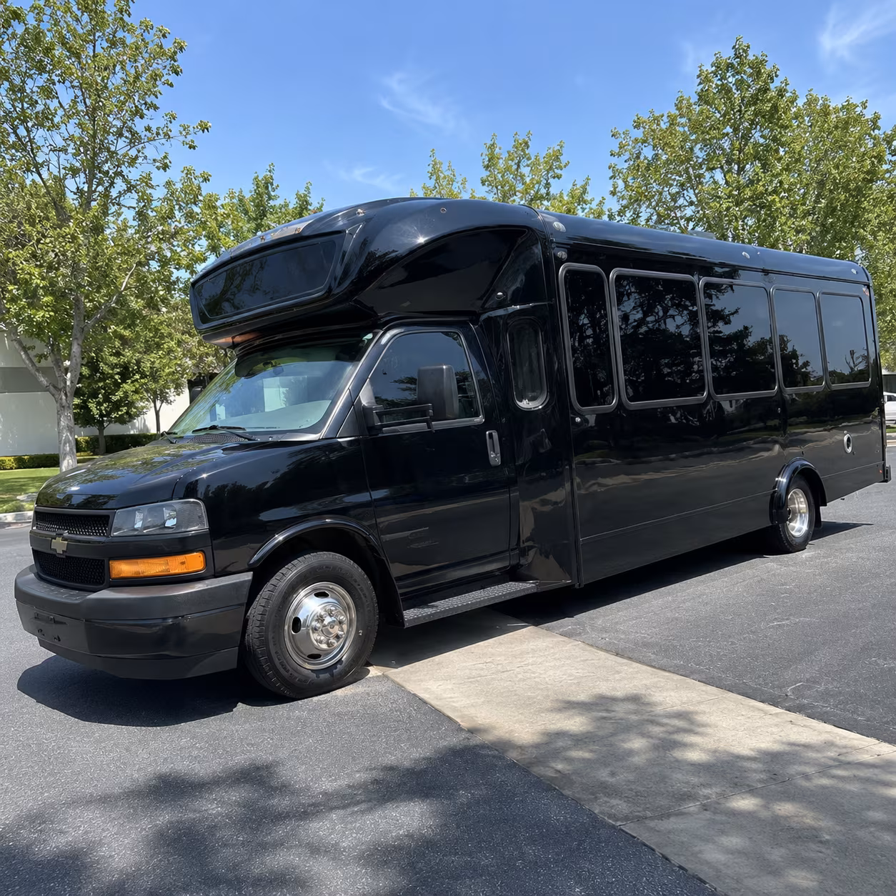 pullman 15 passenger party bus